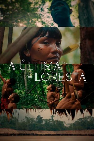 A Última Floresta